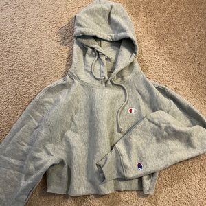 Champion Cropped Hoodie in Grey, Size S